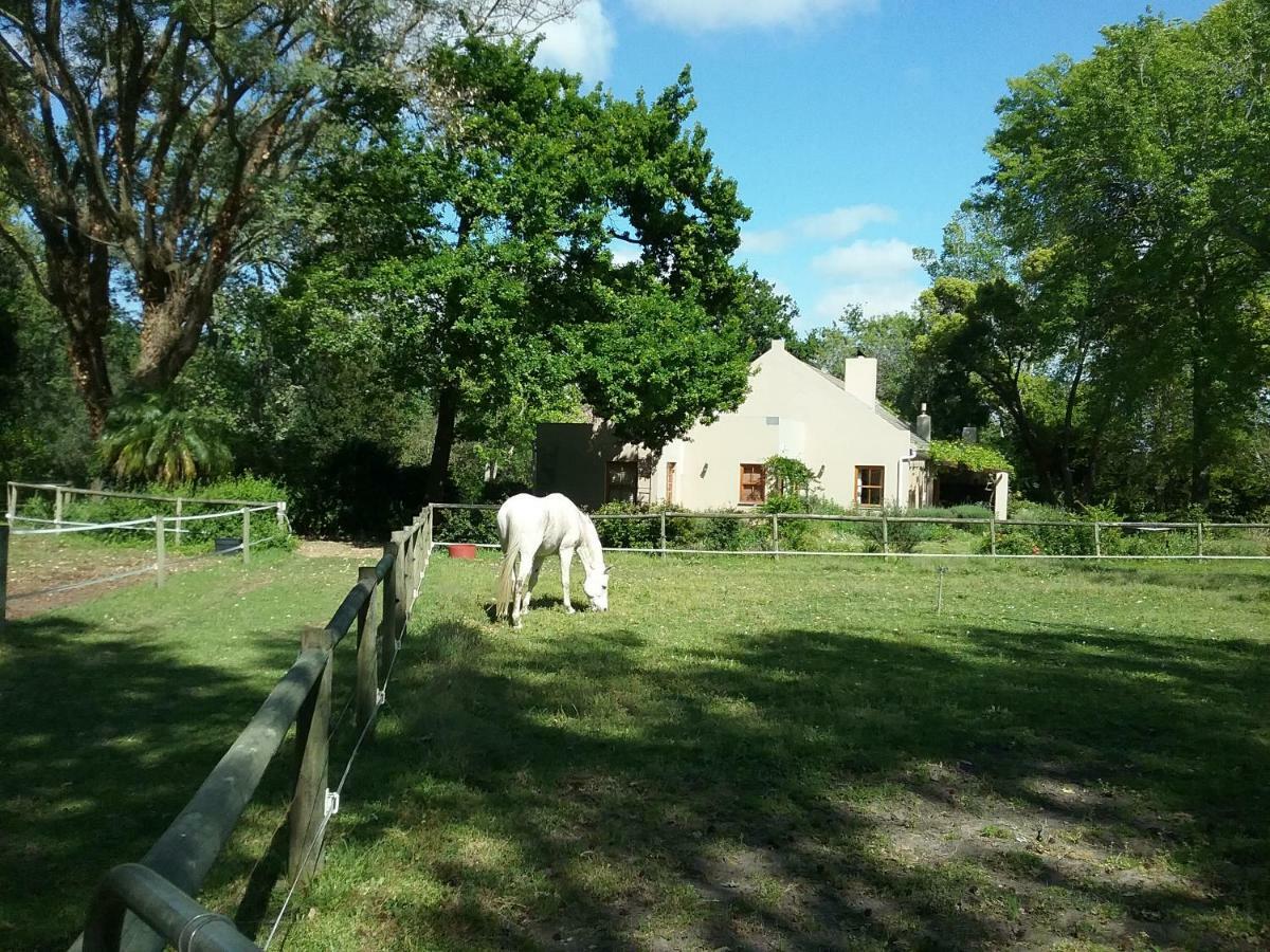 Hotel Languedoc à Stellenbosch Extérieur photo